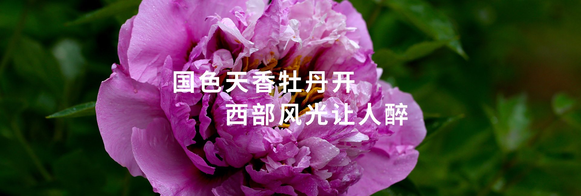 教学、生产、科研、观赏、旅游为一体