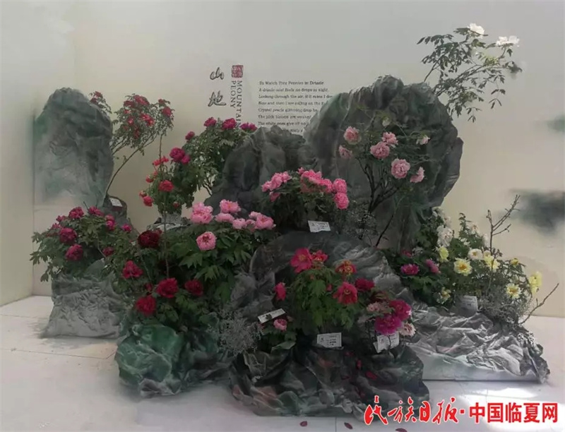 640.webp (2).jpg