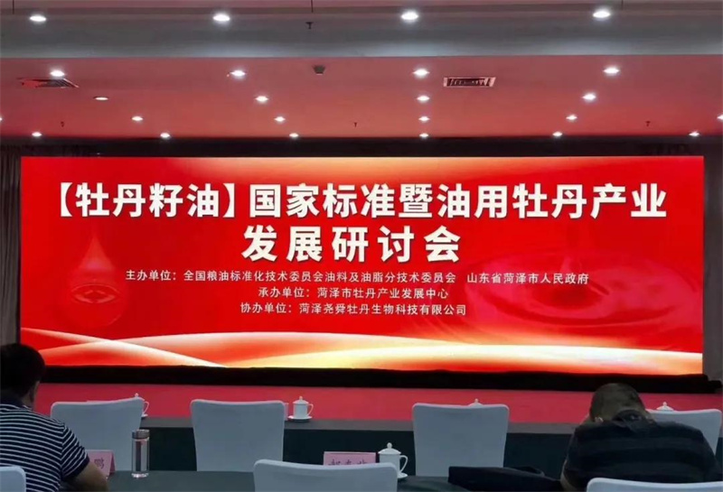 202112171639738724607694.jpg f53497f1c474487d9c935dc04c86793d.jpg