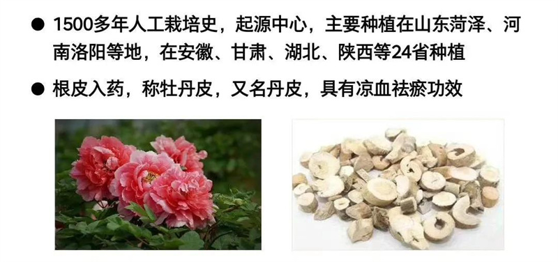 202112171639738804137353.jpg 66f9d86d7b404671944323ea9239637e.jpg