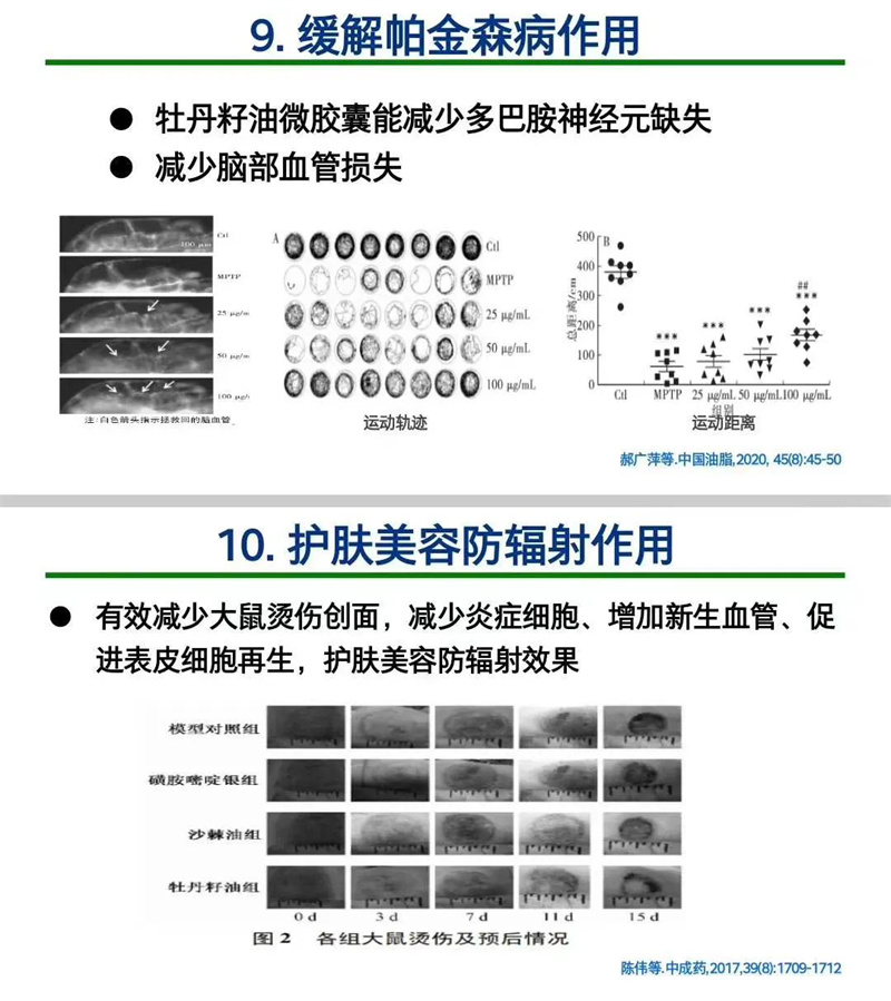 202112171639738811670693.jpg a4faeb819b0044b09fa6bd5375cde29b.jpg