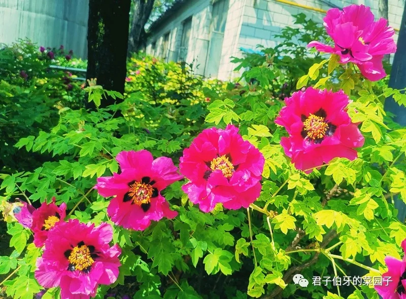 202112171639739514220623.jpg 640.webp (1).jpg