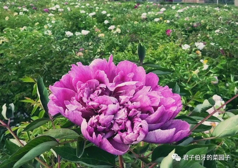 202112171639739527668929.jpg 640.webp (3).jpg