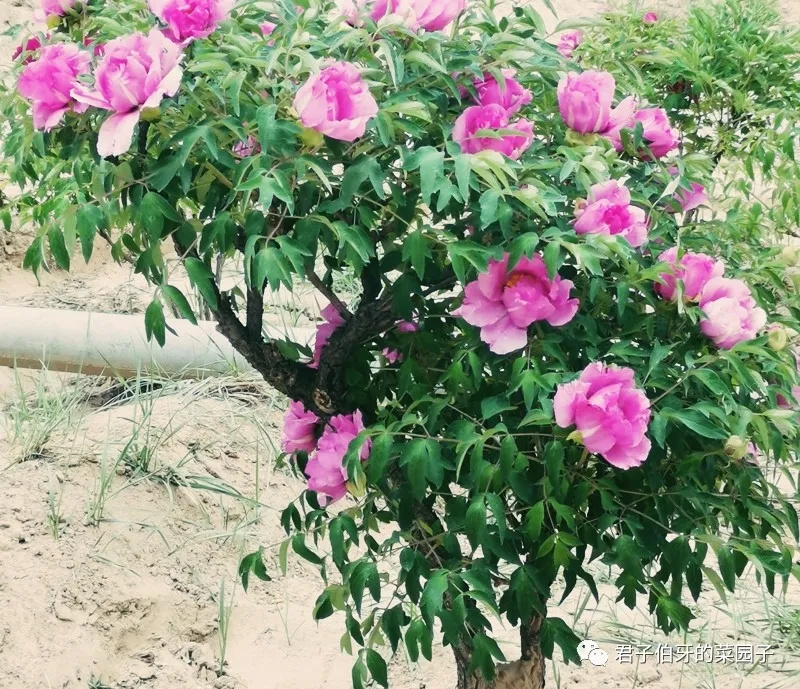 202112171639739537555712.jpg 640.webp (5).jpg