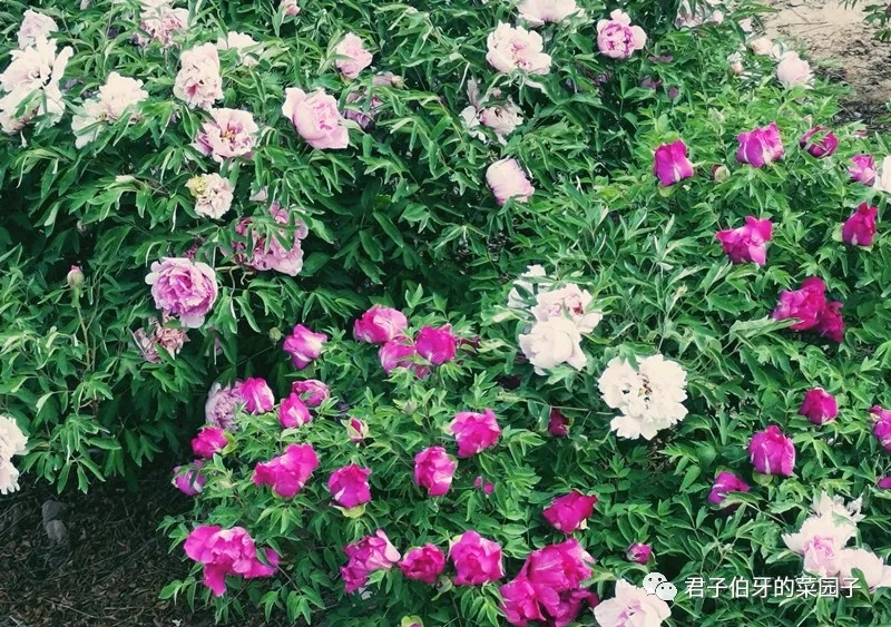 202112171639739572187876.jpg 640.webp (12).jpg