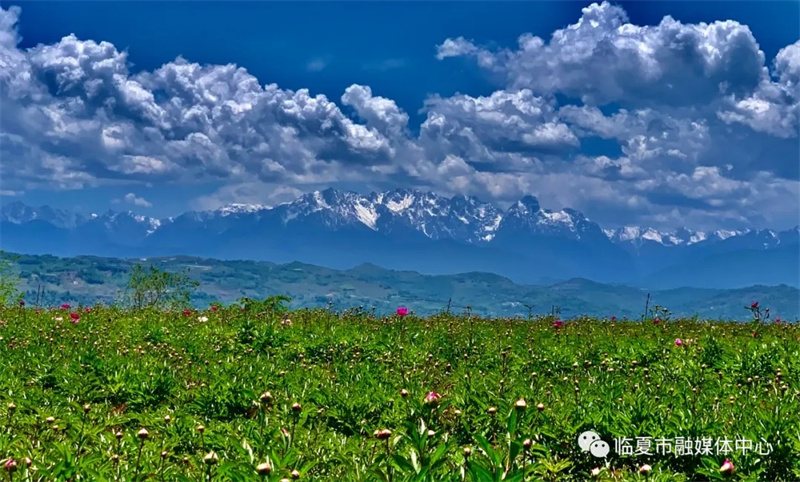 202112171639740231127455.jpg 640.webp (3).jpg