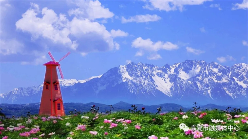 202112171639740232113182.jpg 640.webp (1).jpg