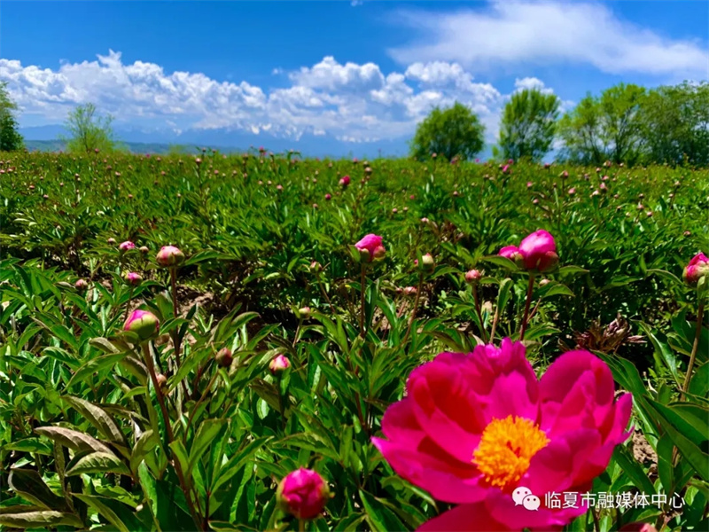 202112171639740232139298.jpg 640.webp (4).jpg