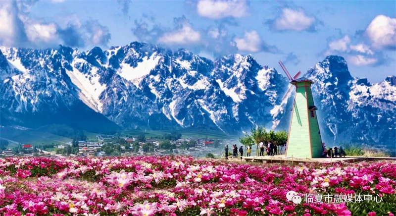 202112171639740232301222.jpg 640.webp.jpg