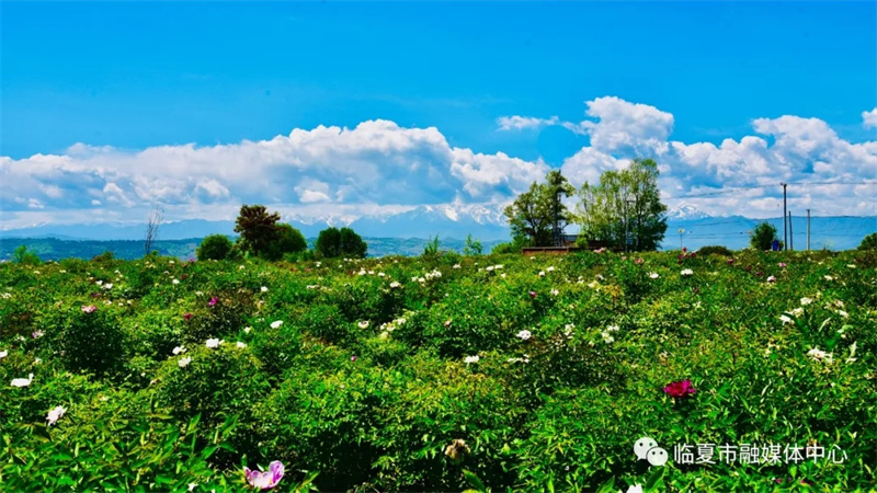 202112171639740232967182.jpg 640.webp (2).jpg