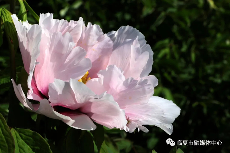 202112171639740268258104.jpg 640.webp (5).jpg