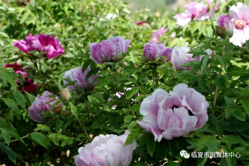 202112171639740268441075.jpg 640.webp (3).jpg