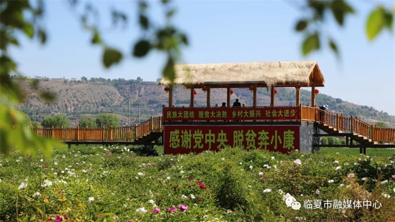 202112171639740268771947.jpg 640.webp (2).jpg