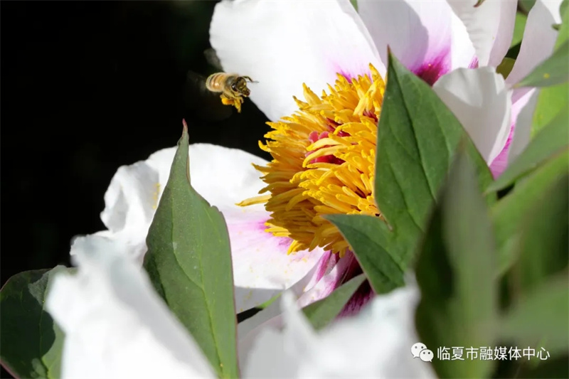 202112171639740268896438.jpg 640.webp (6).jpg