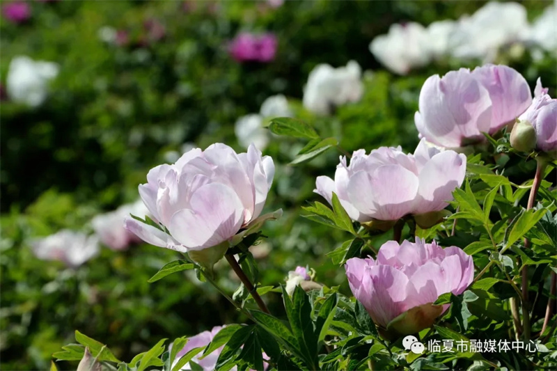 202112171639740268997089.jpg 640.webp (4).jpg