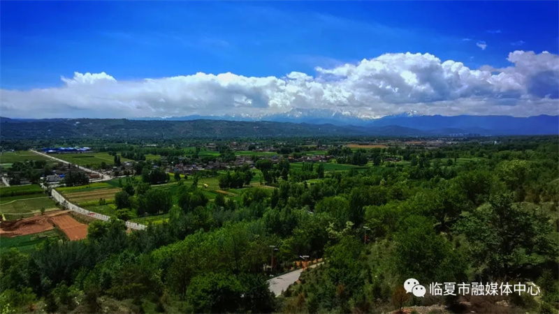 202112171639740269106641.jpg 640.webp.jpg