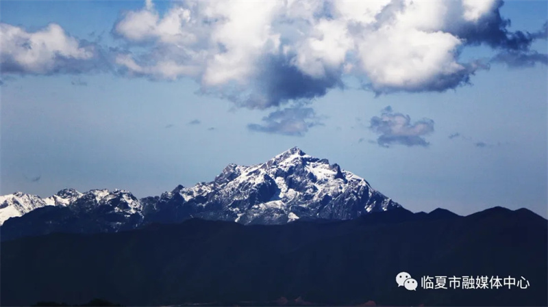 202112171639740305301179.jpg 640.webp (2).jpg