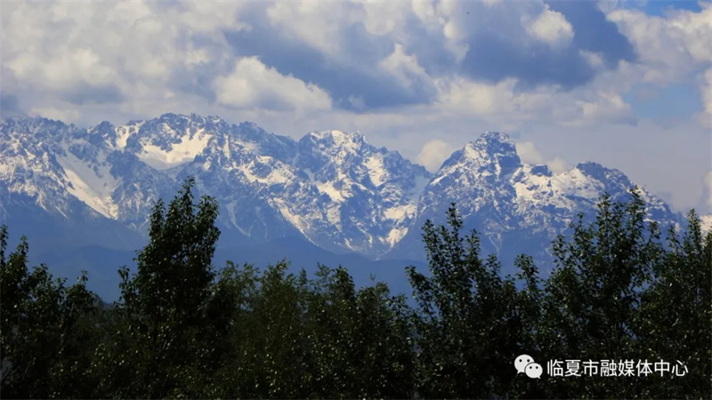 202112171639740305572580.jpg 640.webp (3).jpg