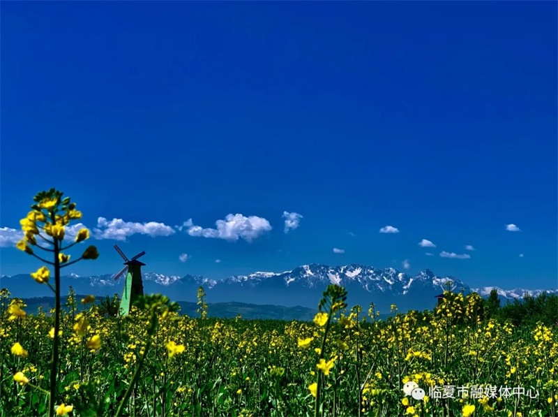 202112171639740305616344.jpg 640.webp (4).jpg