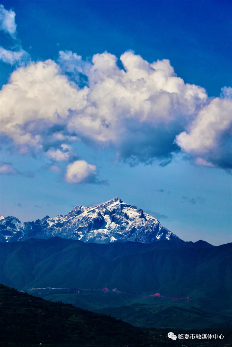 202112171639740305872727.jpg 640.webp (5).jpg