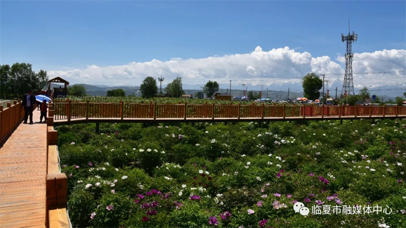 202112171639740342121526.jpg 640.webp (1).jpg