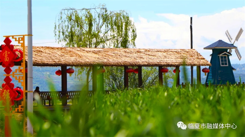 202112171639740342130270.jpg 640.webp (3).jpg