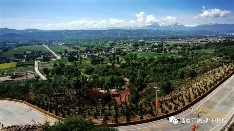 202112171639740342336207.jpg 640.webp (7).jpg