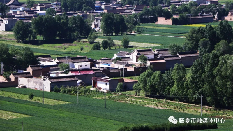 202112171639740342825048.jpg 640.webp (5).jpg