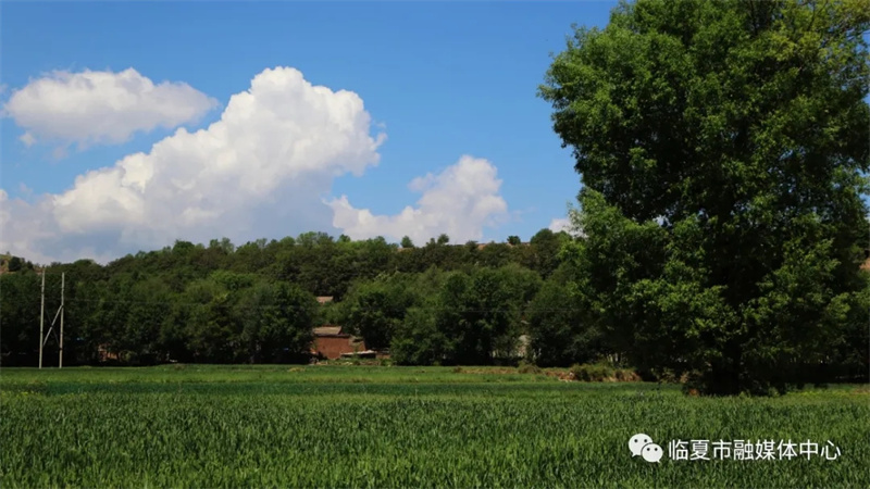 202112171639740342844154.jpg 640.webp (4).jpg