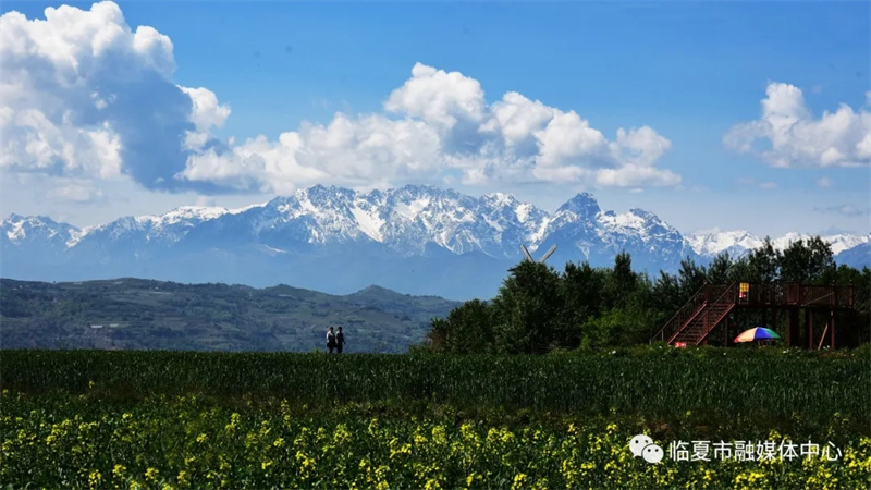 202112171639740342860205.jpg 640.webp.jpg