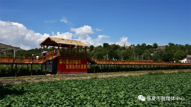 202112171639740367731884.jpg 640.webp.jpg