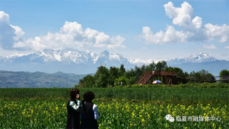 202112171639740367834429.jpg 640.webp (2).jpg