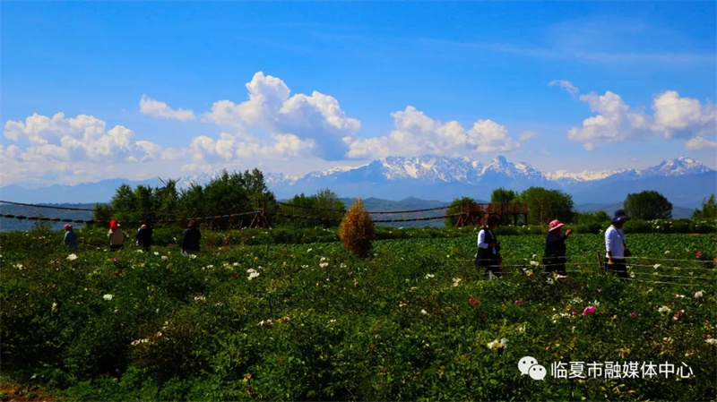 202112171639740367847726.jpg 640.webp (1).jpg